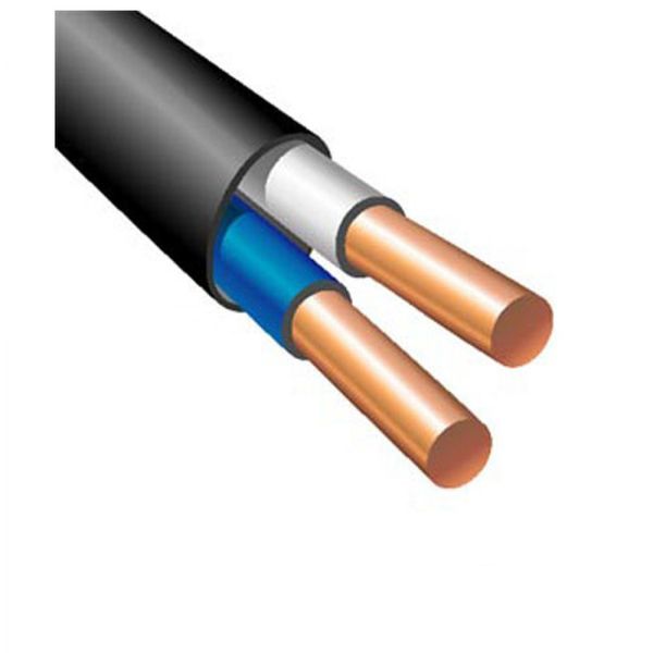 Кабель ВВГ нг-П 2х2,5 ЗЗЦМ 12225 фото